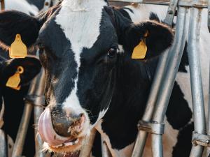 Untitled (1600 x 900 px) (1600 x 900 px) (1600 x 900 px) (1).png