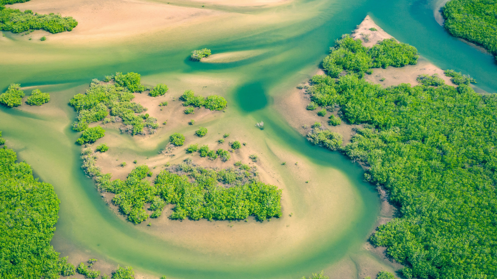 Untitled (1600 x 900 px).png